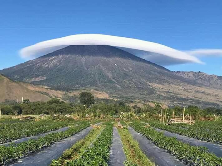 Awan lenticular