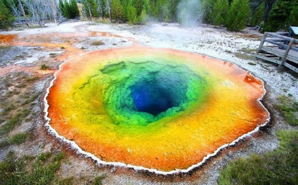 Taman Nasional Yellowstone