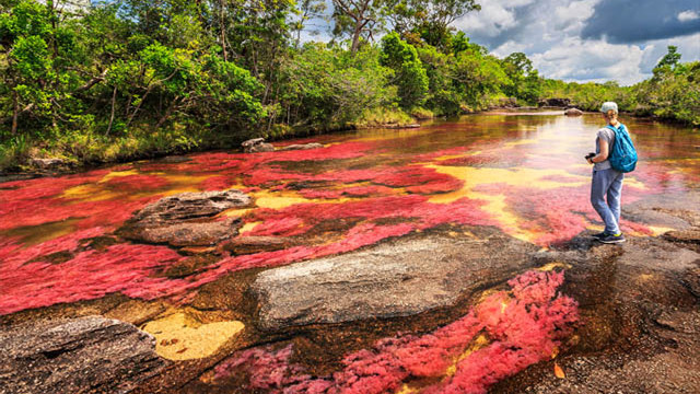 Pelangi Air Cano Cristales