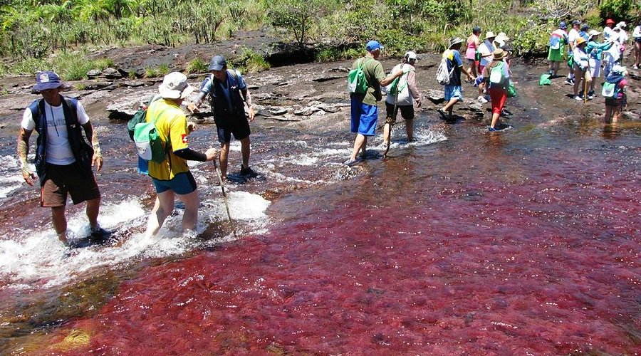 Pelangi Air Cano Cristales